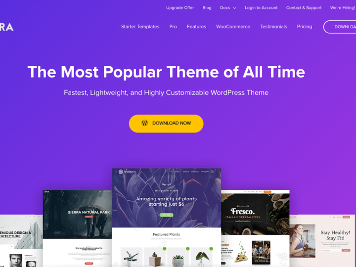 Theme Reviews: Evaluations of Popular WordPress Themes.