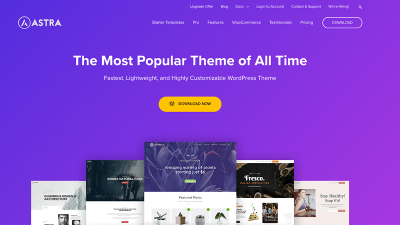 Theme Reviews: Evaluations of Popular WordPress Themes.