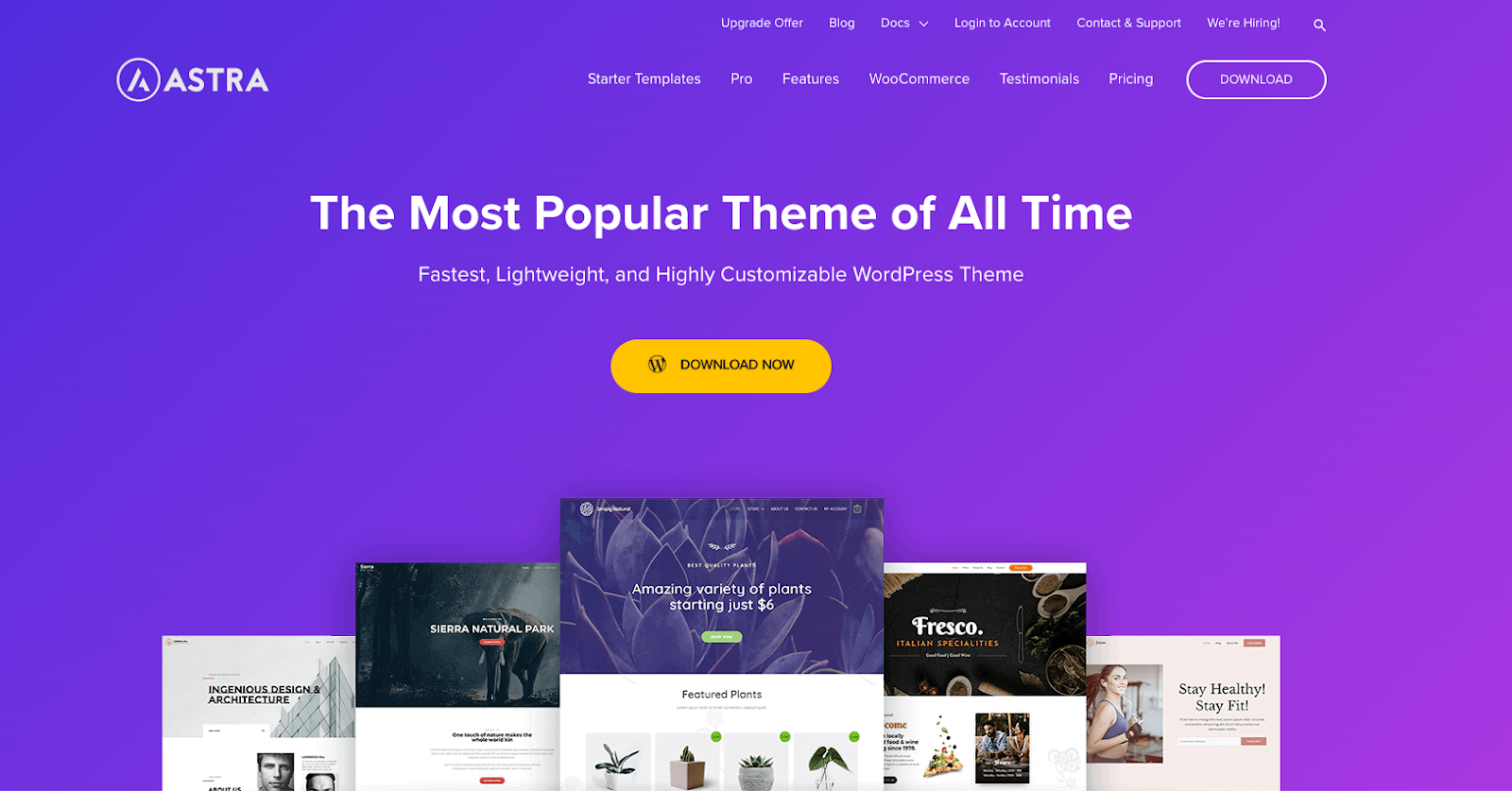 Theme Reviews: Evaluations of Popular WordPress Themes.